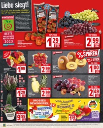 Garten Angebot & Preis im aktuellen EDEKA Prospekt Garten Angebot im aktuellen EDEKA Prospekt auf Seite 2