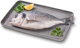 Dorade Royal im Angebot bei Penny in Ahaus Dorade Royal Angebote von SEAFOOD4YOU bei Penny Ahaus für 5,85 €