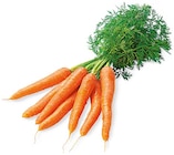 REWE - Bundmöhren Angebot im Prospekt Bundmöhren bei REWE im Prospekt "" für 0,99 €