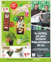 Tulpen im Marktkauf Prospekt in Arnsberg Aktueller Marktkauf Prospekt mit Tulpen, "Aktuelle Angebote", Seite 3