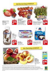 Garten im EDEKA Prospekt in Bietigheim-Bissingen Aktueller EDEKA Prospekt mit Garten, "Aktuelle Angebote", Seite 12