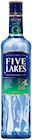 Aktuelles Five Lakes Vodka Angebot bei REWE in Braunschweig ab 9,99 €