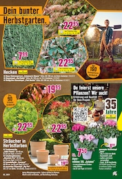 Sträucher Angebot im aktuellen Hornbach Prospekt auf Seite 18