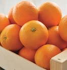 Intermarché Contact Ouzouer-sur-Loire - Promo Orange à jus et/ou a dessert Promo Orange à jus et/ou a dessert à 3,19 € dans le catalogue Intermarché Contact à Ouzouer-sur-Loire