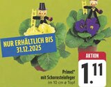 Primel mit Schornsteinfeger im Angebot bei E center in Suhl Primel mit Schornsteinfeger Angebote bei E center Suhl für 1,11 €