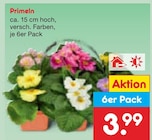 Aktuelles Primeln Angebot bei Netto Marken-Discount in Hannover ab 3,99 €