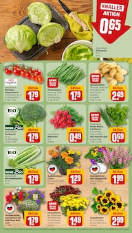 Tomaten im aktuellen REWE Prospekt (Halle (Saale)) Tomaten im REWE Prospekt "Dein Markt" mit 20 Seiten (Halle (Saale))
