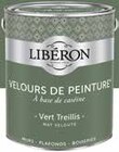 Velours de peinture vert treillis - Liberon - Castorama à Marignane Velours de peinture vert treillis - Liberon en promo chez Castorama Marignane à 52,90 €