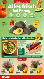 Garten im Penny-Markt Prospekt in Kassel Aktueller Penny-Markt Prospekt mit Garten, "Wer günstig will, muss Penny.", Seite 4