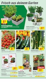 Aktueller toom Baumarkt Prospekt mit Gemüse, "Respekt, wer's selber macht.", Seite 4
