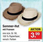 Sommer-Hut im Angebot bei Zimmermann in Wolfsburg Sommer-Hut Angebote bei Zimmermann Wolfsburg für 3,99 €