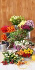 Foire à la botte - FLEUR à 7,98 € dans le catalogue Carrefour