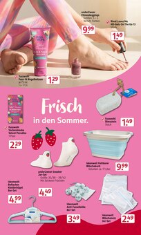 Kleiderbügel im Rossmann Prospekt "Mein Drogeriemarkt" mit 26 Seiten (Potsdam)