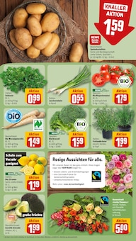 Salat im REWE Prospekt "Dein Markt" mit 28 Seiten (München)