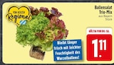 Mixer im EDEKA Prospekt Ballensalat Trio-Mix im aktuellen EDEKA Prospekt für 1,11 €