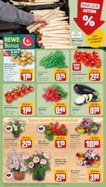 Kartoffeln im REWE Prospekt in Wiesbaden Aktueller REWE Prospekt mit Kartoffeln, "Dein Markt", Seite 7