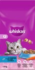 Trockenfutter Katze mit Thunfisch, Adult 1+ von Whiskas für 6,75 € bei dm-drogerie markt im Angebot Trockenfutter Katze mit Thunfisch, Adult 1+ von Whiskas im aktuellen dm-drogerie markt Prospekt