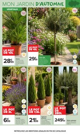 Promos Cyprès dans le catalogue "JARDIN LÀ OÙ LA VIE SE CULTIVE" de Carrefour Market Cyprès en promo dans le catalogue Carrefour Market à la page 4