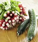 Concombre ou Radis rose botte en promo chez Casino Supermarchés Aix-en-Provence à 2,00 €