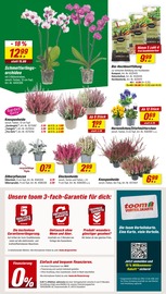 Aktueller toom Baumarkt Prospekt mit Orchidee, "Respekt, wer's selber macht.", Seite 2
