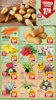 Garnelen im aktuellen REWE Prospekt (Berlin) Garnelen im REWE Prospekt "Dein Markt" mit 34 Seiten (Berlin)