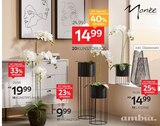 Pflanztopf ca. 18 cm Ø Angebote von Ambia Home bei XXXLutz Möbelhäuser Offenbach für 9,99 €