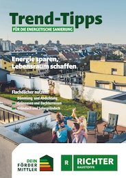 Richter Baustoffe Prospekt für Sabow: "Trend-Tipps FÜR DIE ENERGETISCHE SANIERUNG", 11 Seiten, 18.07.2025 - 27.07.2025