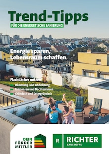 Aktueller Richter Baustoffe Prospekt für Reinfeld (Holstein) und Ungebung, Seiten zum blättern Richter Baustoffe Prospekt Trend-Tipps FÜR DIE ENERGETISCHE SANIERUNG mit Seiten in Reinfeld (Holstein) und Umgebung