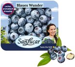 Heidelbeeren Angebote von SanLucar bei REWE Neustadt für 2,29 €