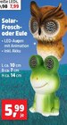 Solar-Frosch im Angebot bei Thomas Philipps in Recklinghausen Solar-Frosch Angebote bei Thomas Philipps Recklinghausen für 5,99 €