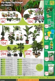 Aktueller GLOBUS Prospekt mit Gartenerde, "Aktuelle Angebote", Seite 26