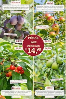 Obstbaum im Garten-Center Nordharz GmbH & Co. KG Prospekt "DER HERBST & SEINE FARBEN" mit 16 Seiten (Kassel)