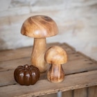 Champignon bois s à B&M dans La Sentinelle