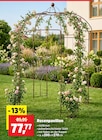 Rosenpavillon für 77,77 € bei Thomas Philipps im Angebot Rosenpavillon im aktuellen Thomas Philipps Prospekt