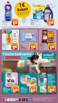 Waschmittel im aktuellen REWE Prospekt (Hamburg) Waschmittel im REWE Prospekt "Dein Markt" mit 18 Seiten (Hamburg)