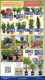 Aktueller CENTERSHOP Prospekt mit Blumentopf, "Da geht was.", Seite 2