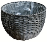 Polyrattan-Blumentopf Ø33x19cm im Angebot bei Wreesmann in Stendal Polyrattan-Blumentopf Ø33x19cm Angebote bei Wreesmann Stendal für 14,99 €