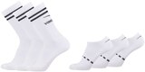 Sport- oder Sneakersocken Angebote von Venice Beach bei REWE Heidelberg für 5,99 €