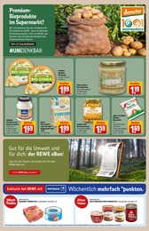 Sauerkraut Angebot im aktuellen REWE Prospekt auf Seite 31