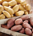 Promo Pomme de terre de consommation à chair ferme à 1,69 € dans le catalogue Intermarché Super à Tulle