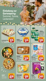 Kräuter im REWE Prospekt in Wiesbaden Aktueller REWE Prospekt mit Kräuter, "Dein Markt", Seite 16