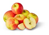 Deutsche Bio-Äpfel im Angebot bei Penny in Baden-Baden Deutsche Bio-Äpfel Angebote von Naturgut bei Penny Baden-Baden für 1,99 €