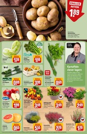 Ähnliche Geschenke Angebote im Prospekt "Dein Markt" von REWE in Buxtehude Ähnliche Angebote wie Geschenke im Prospekt "Dein Markt" auf Seite 13 von REWE in Buxtehude