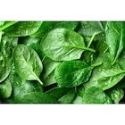 Epinard - REFS.SANS MARQUE dans le catalogue Carrefour