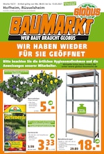 Globus-Baumarkt Prospekt für Mainz mit 20 Seiten Globus-Baumarkt Prospekt für Mainz: "WER BAUT BRAUCHT GLOBUS", 20 Seiten, 07.03.2021 - 13.03.2021