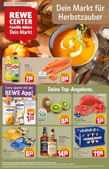 REWE Prospekt "Dein Markt" mit  Seiten (Pattensen)