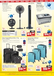 Netto Marken-Discount Trolley im Prospekt Netto Marken-Discount Trolley im Prospekt