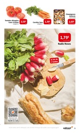 Tomate Angebote im Prospekt "Sortez les nappes c'est l'heure du pique-nique" von Colruyt Tomate Angebote im Prospekt "Sortez les nappes c'est l'heure du pique-nique" von Colruyt auf Seite 3