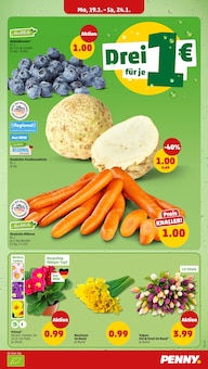 Pflanzen im Penny Prospekt "Wer günstig will, muss Penny." mit 42 Seiten (Krefeld)