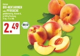 Aktuelles BIO-NEKTARINEN Angebot bei Marktkauf in Köln ab 2,49 €